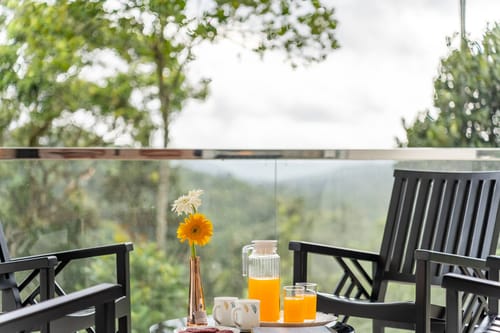 Ivory @ Cardamom Casa