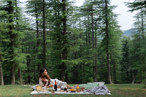 The Mohru Estate - Chail w/ Heated Pool