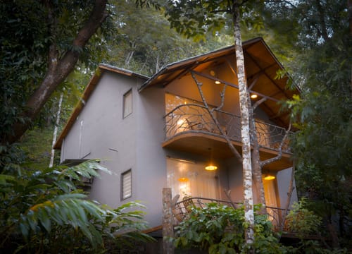 Panchavadi | Forest-Facing Room on 10-acre Land, Shared Natural Pool, Garden & Restro