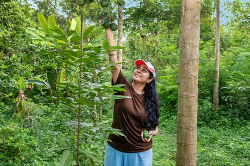 Wellnest Natural Farms