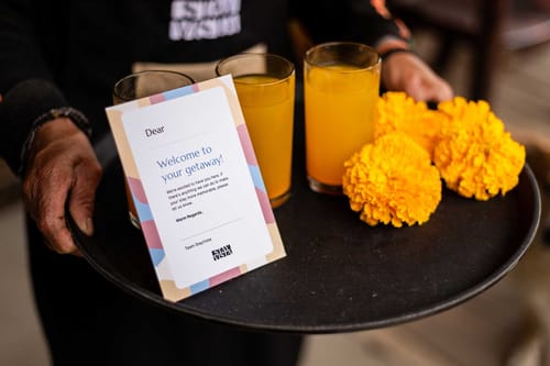 Lilac @ Nature’s Lap