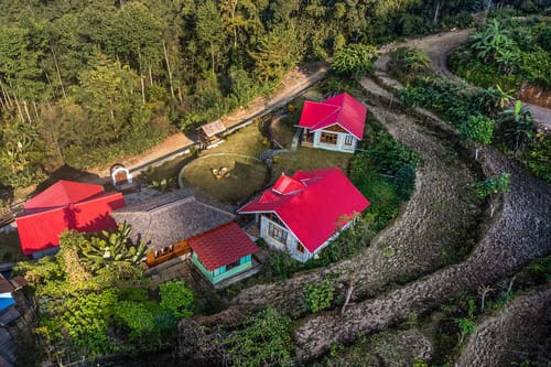 Jasmine @ Nature’s Lap