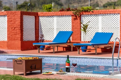 The Enchanted Forest