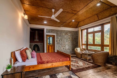 Daisy @ Nature’s Lap