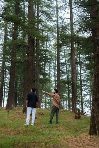 The Mohru Estate - Chail w/ Heated Pool