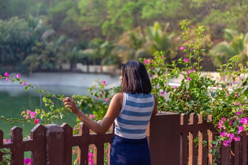 Timber Elite @ Timber Cottage