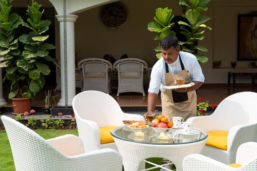 Mist @ Silver Oak Farm