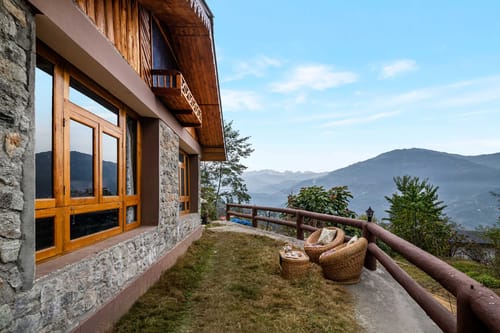 Tulip @ Nature’s Lap