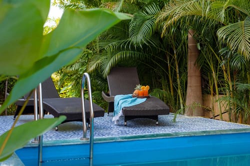 Wandering Greens - Palghar