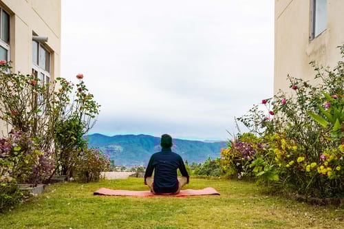 Morning Bliss - Ranikhet