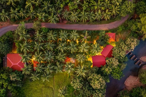 Coco @ Vatika Nature Nest - Mirjan