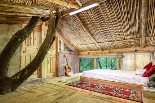 Sunshine Himalayan Cottage Per Room Tirthan Valley