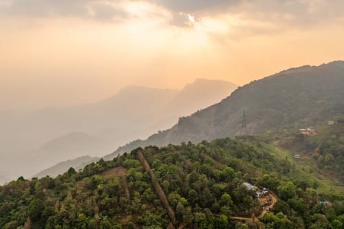 The Black Bean Cottage