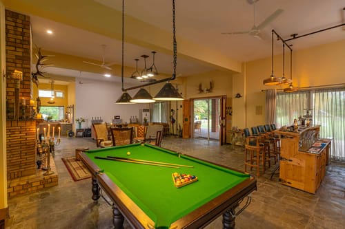 Peacocks & Partridges