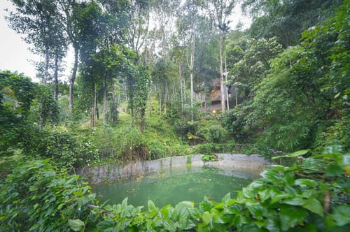 Panchavadi | Forest-Facing Room on 10-acre Land, Shared Natural Pool, Garden & Restro