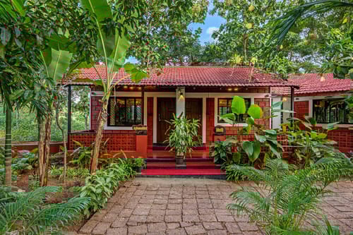 Ivy @ Vatika Nature Nest - Mirjan