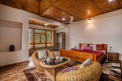 Tulip @ Nature’s Lap