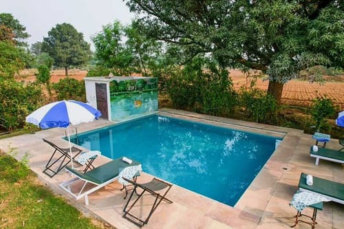 Spirit @ Ranthambore Reverie