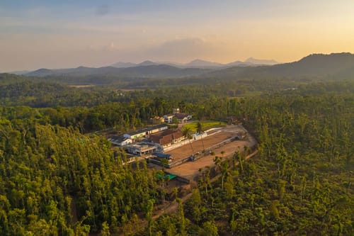 Robusta @ Misty Barn - Oodsey