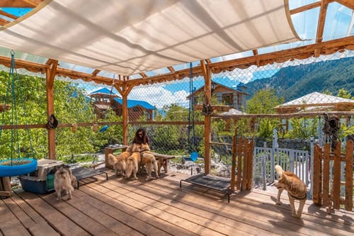 ChaletShanagManali- 4 BR Chalet