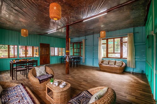 Daisy @ Nature’s Lap