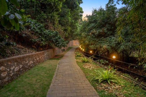 The Black Bean Cottage