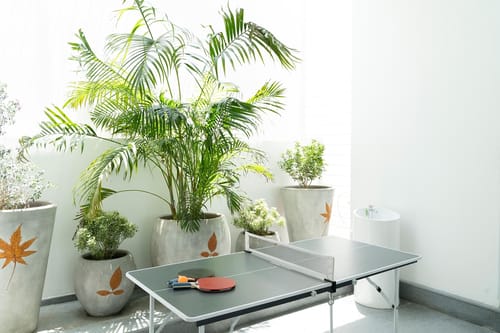 Reflection by The Woods