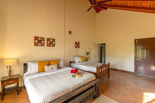 Robusta @ Misty Barn - Oodsey