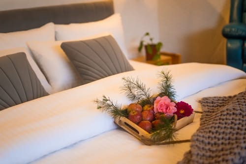 GlampView Luxurious Geodesic Glamp 2