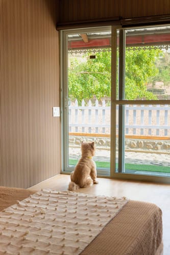 Caramel @ Silver Slopes