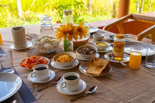 Firefly by the River