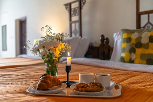 Mocha @ Misty Barn - Oodsey