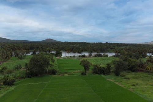 Ava - The Country House