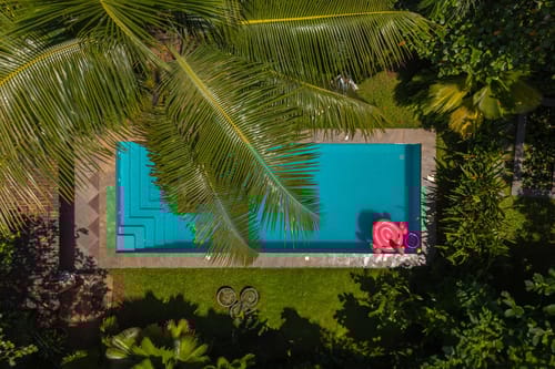 Coco @ A Portuguese Tale