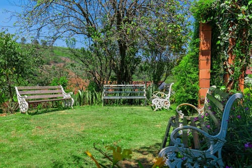 Yellow Tulip Villa - Coonoor