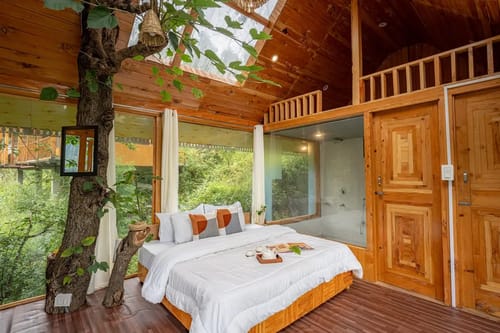 The Sinatra Skylight: Glass treehouse in the mist