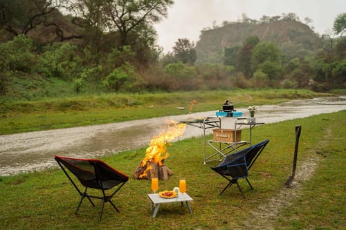 Peacocks & Partridges