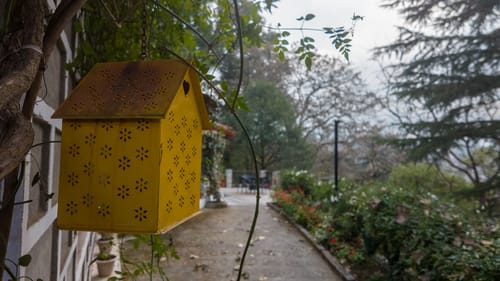 The Hive Cottage | Serene 9-Rooms Hillside Resort With Suites, Restaurant, & Outdoor Seating | Ample Parking