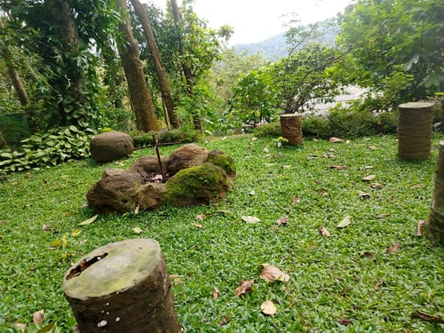 Panchavadi | 10-acre Land With 6 Forest-Facing Rooms, Natural Mountain Pool, Garden & Restro