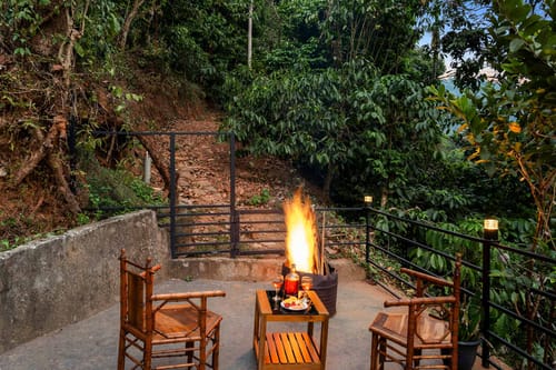 The Black Bean Cottage