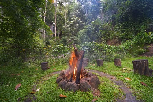 Panchavadi | Forest-Facing Room on 10-acre Land, Shared Natural Pool, Garden & Restro