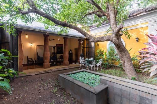 Terra Rosa - Chorao Island