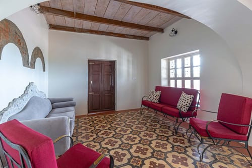 Mocha @ Misty Barn - Oodsey