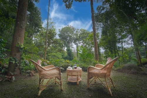 Panchavadi | Forest-Facing Room on 10-acre Land, Shared Natural Pool, Garden & Restro