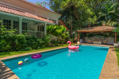 Palm @ A Portuguese Tale