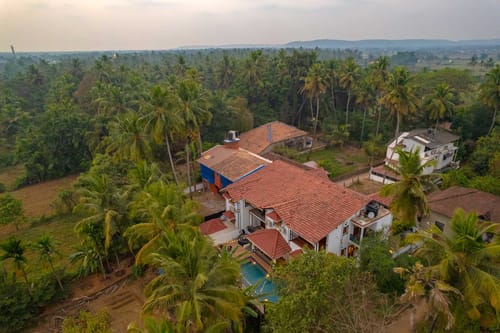 Palms @ La Tranquillità