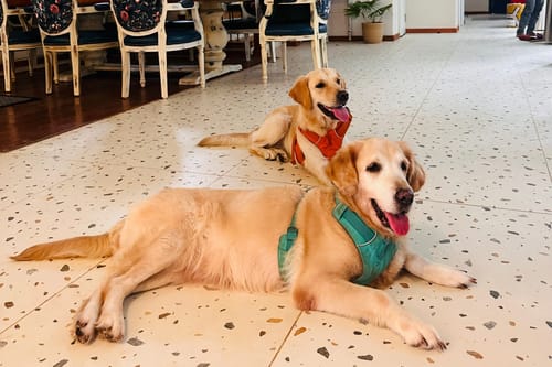 Vacasa | 5-BHK | Pvt Pool & Lift | Pet-friendly