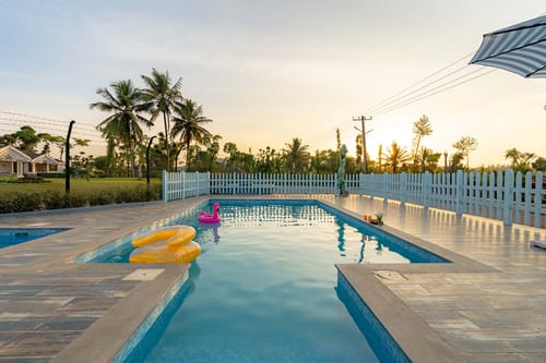 Mocha @ Misty Barn - Oodsey