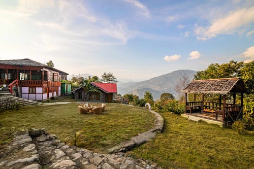 Daisy @ Nature’s Lap