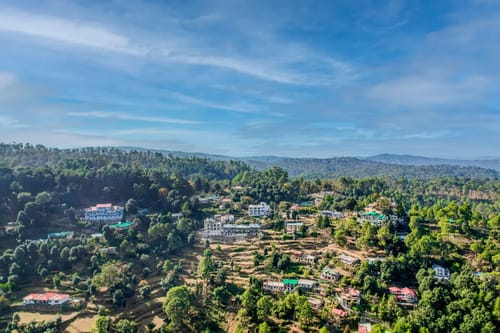 Edelweiss Entire Estate: (Bluebell House, Primrose House, Amore)